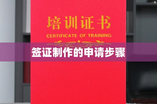 阆中签证制作的申请步骤