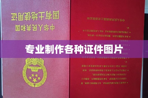 阆中专业制作各种证件图片