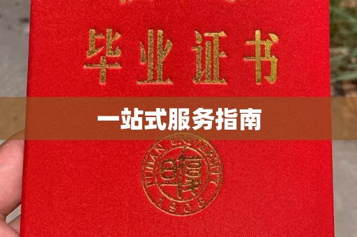 阆中一站式服务指南