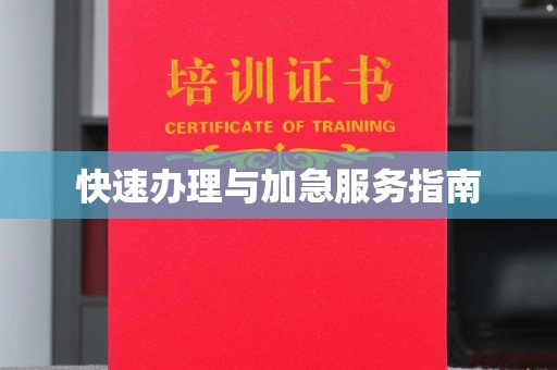 阆中快速办理与加急服务指南