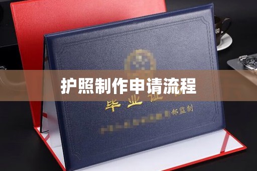 阆中护照制作申请流程