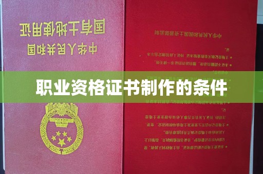 阆中职业资格证书制作的条件
