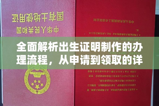 阆中全面解析出生证明制作的办理流程，从申请到领取的详细指南